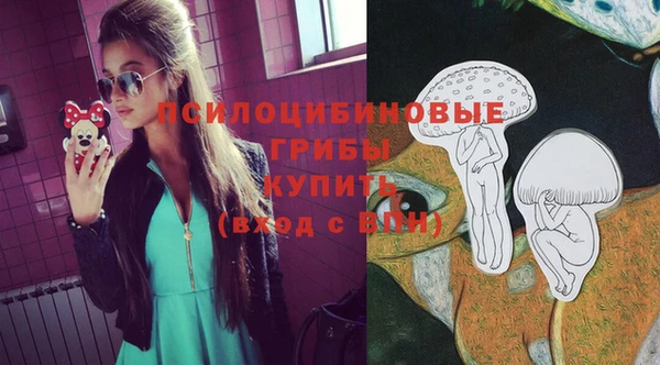 mdpv Аркадак